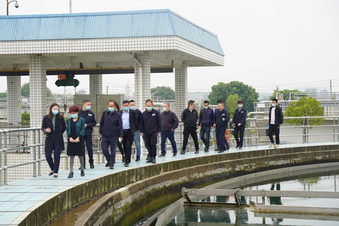 民革德阳市委调研BEVITOR·伟德国际